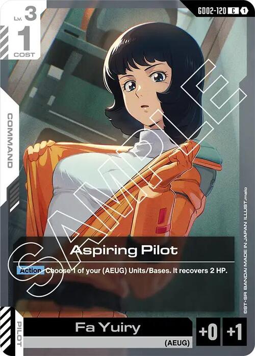 Aspiring Pilot GD-02: Dual Impact